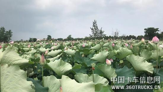 微信圖片_20190722103058.jpg